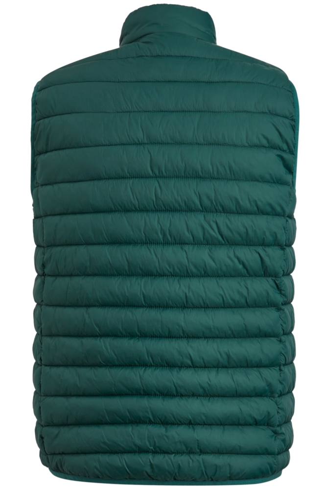 BODYWARMER DENSYLON TRACKOUT VBW2311171 6431